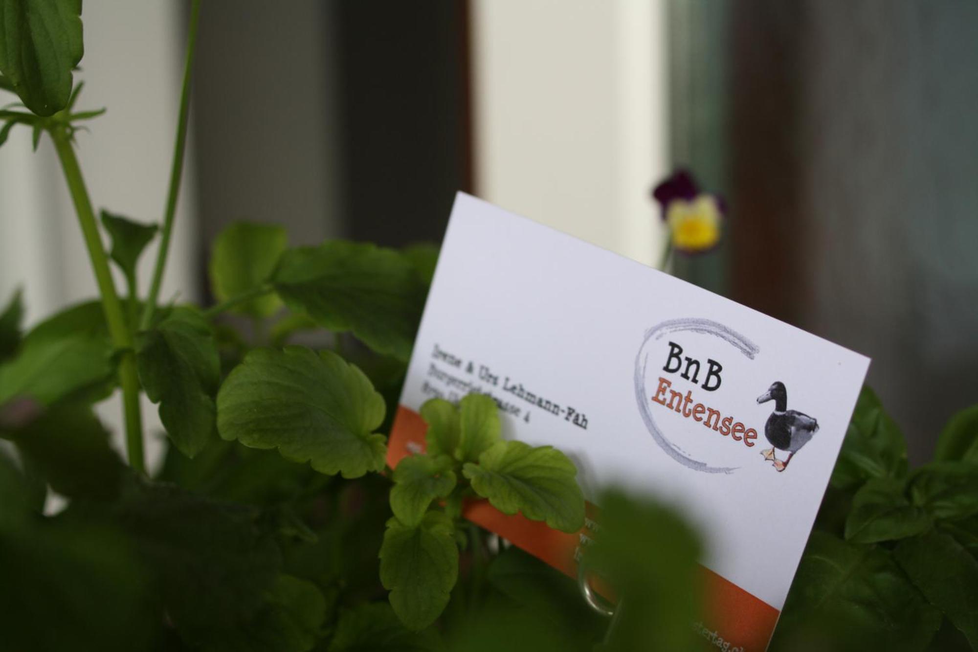 Bnb Entensee Uznach Экстерьер фото