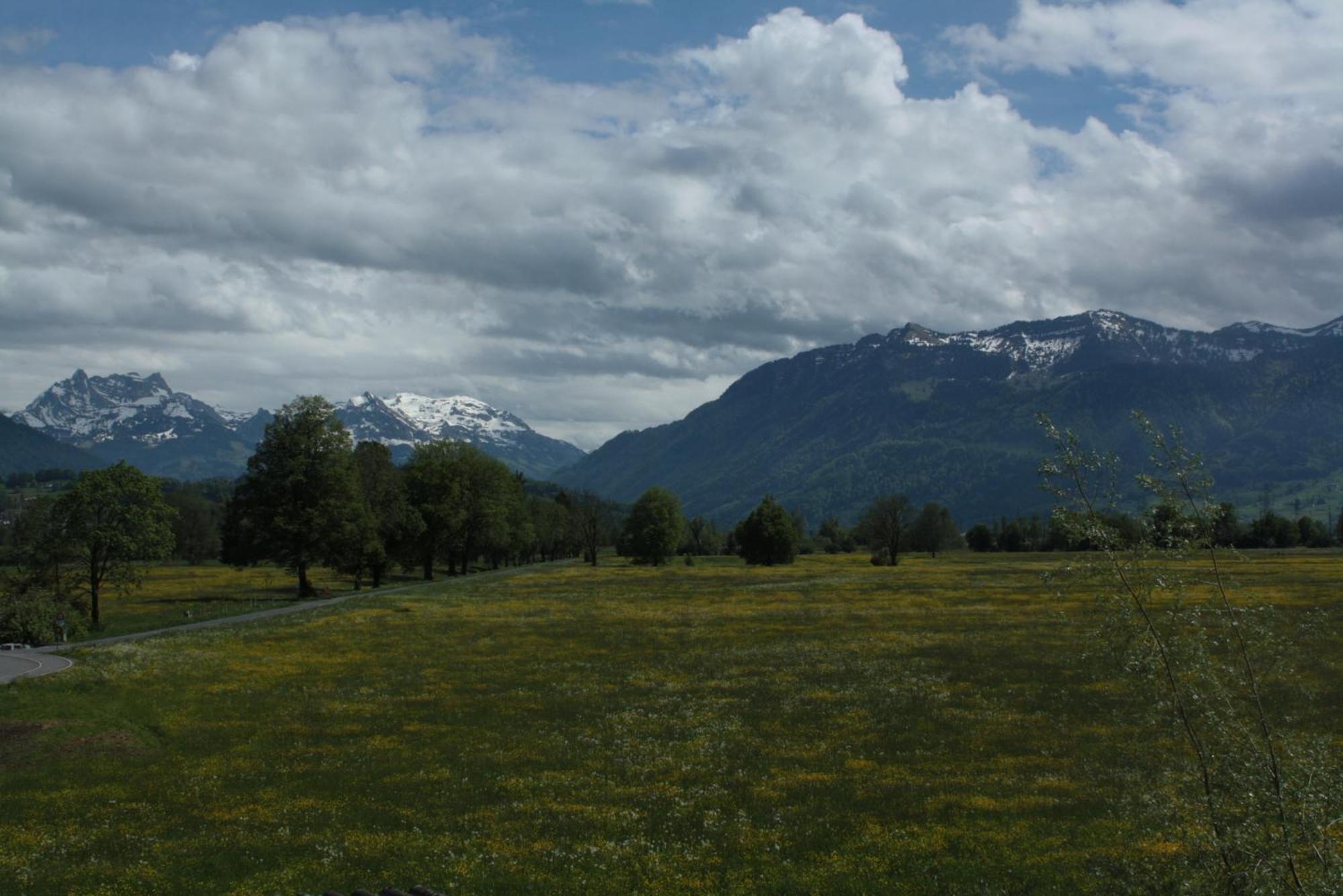 Bnb Entensee Uznach Экстерьер фото